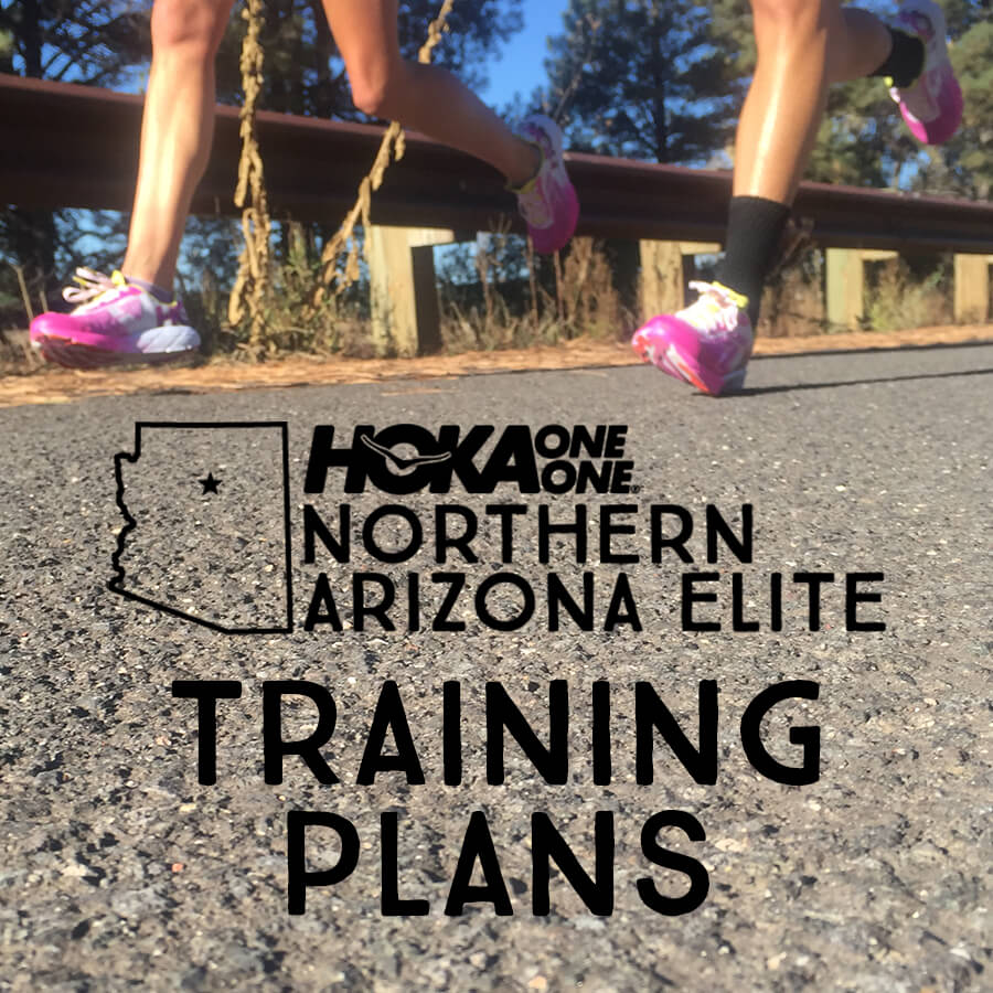 hoka one one naz elite