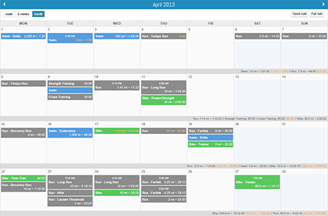 Final Surge Calendar View